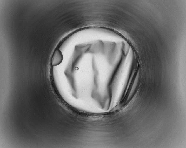 X0000096170846200802151433