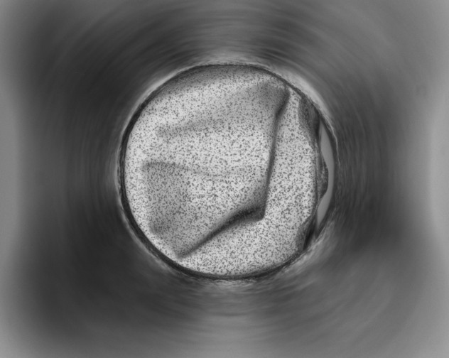 X0000096170847200802151433