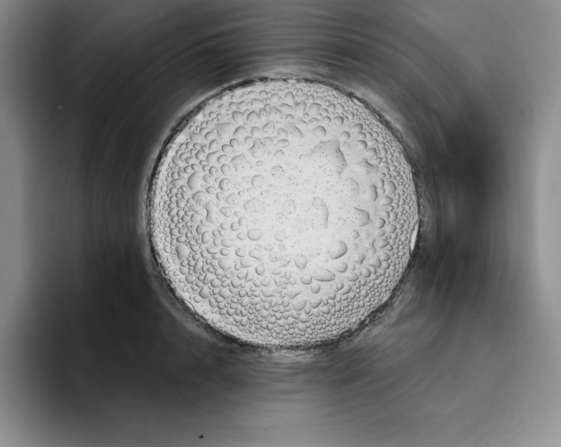X0000096170848200802151433