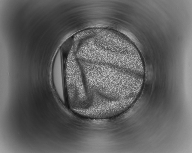 X0000096170850200802151433