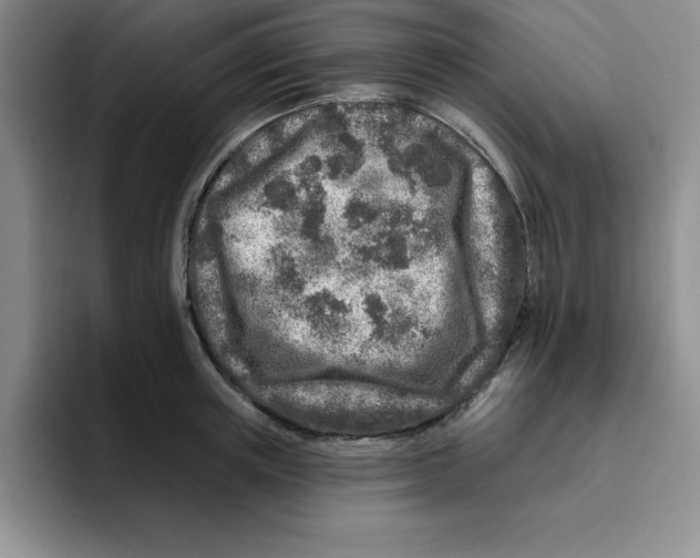 X0000096170851200802151433