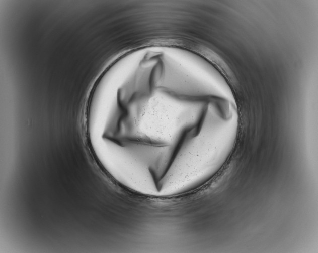 X0000096170852200802151433