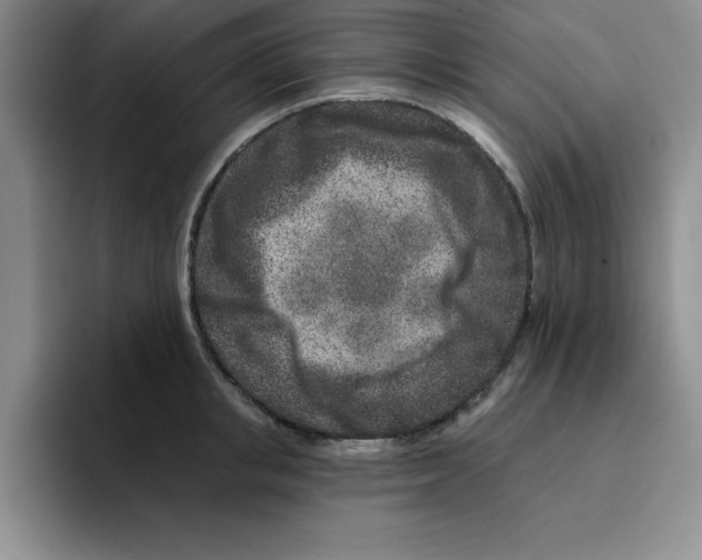 X0000096170853200802151433