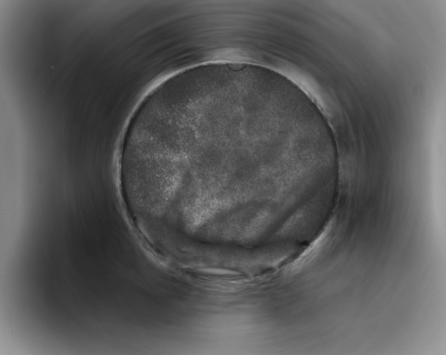 X0000096170854200802151433