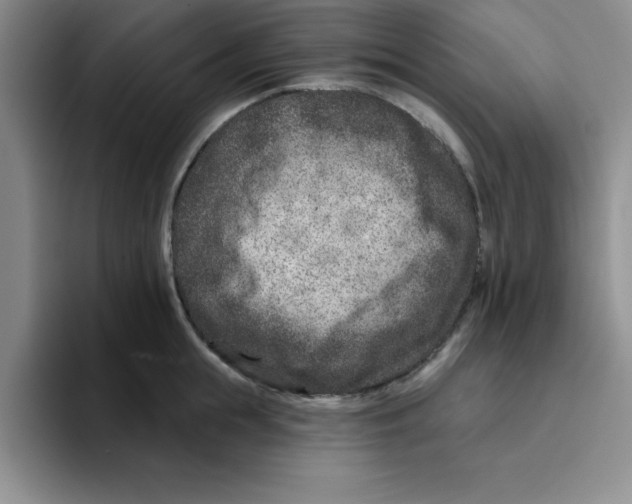 X0000096170855200802151433