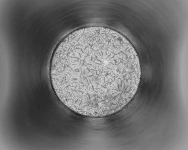 X0000096170856200802151433