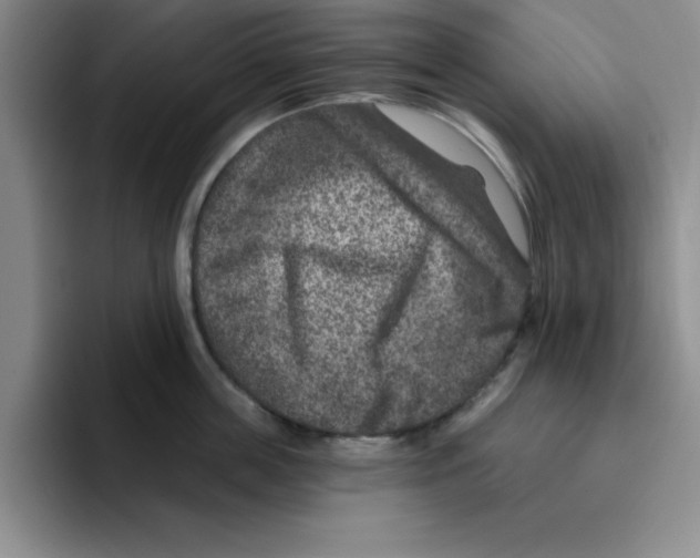 X0000096170859200802151433