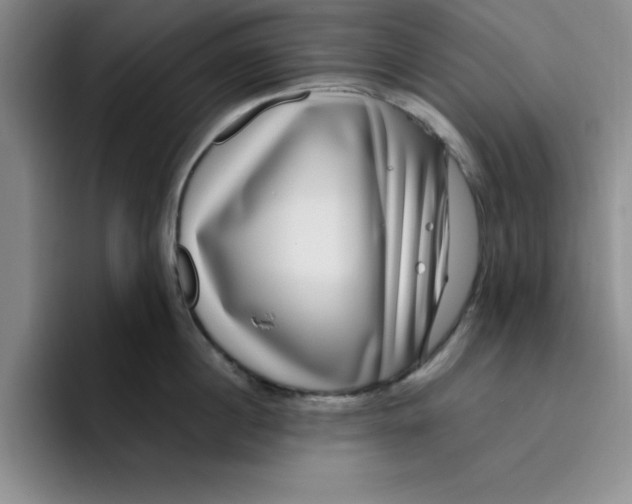 X0000096170860200802151433