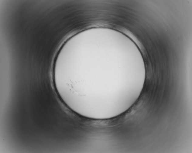 X0000096170861200802151433