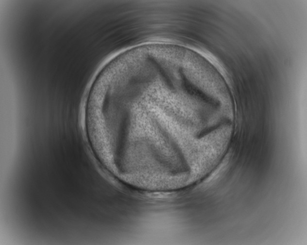 X0000096170862200802151433