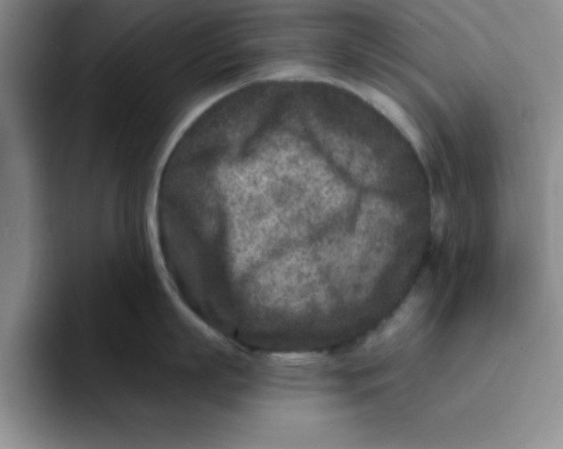 X0000096170863200802151433