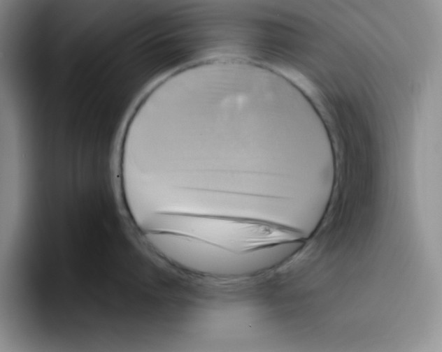 X0000096170864200802151433