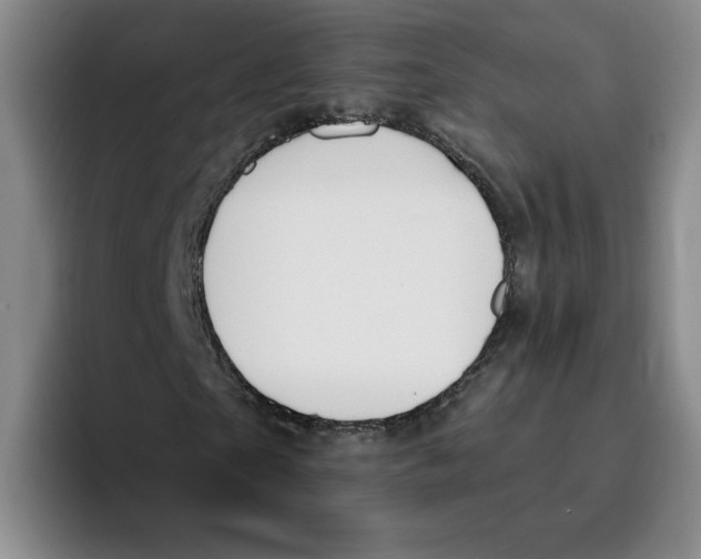 X0000096170865200802151433