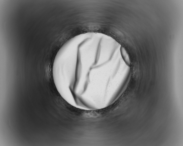 X0000096170866200802151433