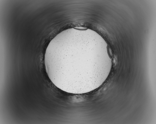 X0000096170867200802151433