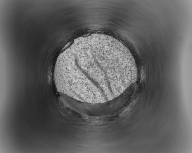 X0000096170868200802151433