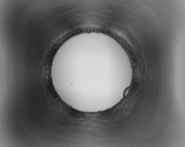 X0000096170870200802151433
