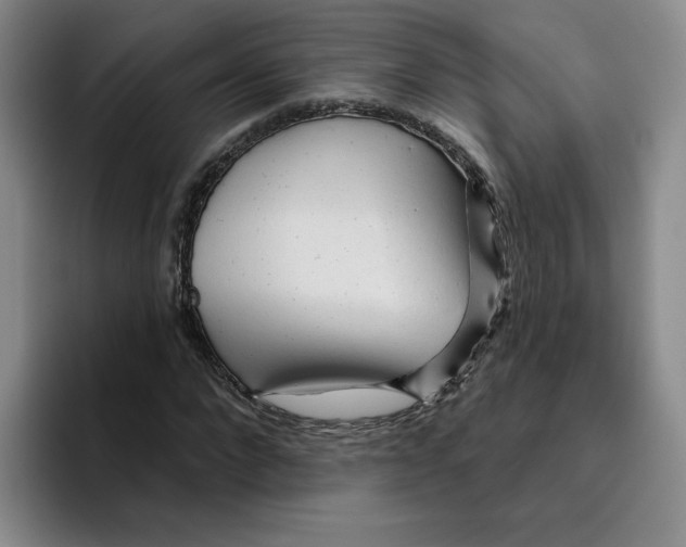 X0000096170872200802151433