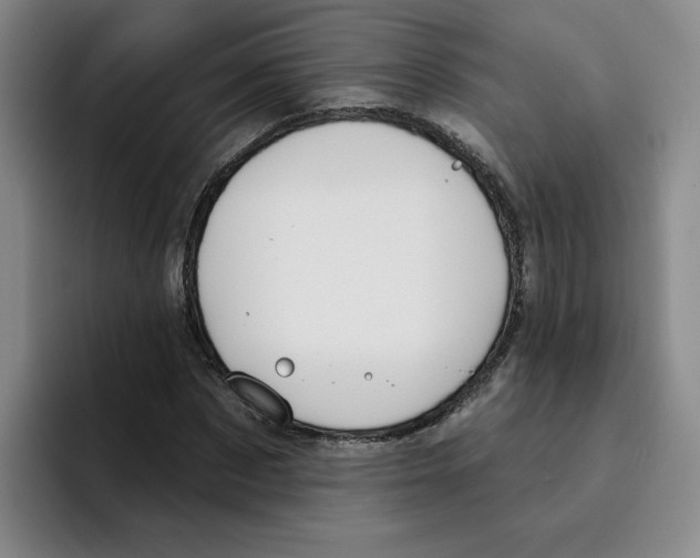 X0000096170873200802151433