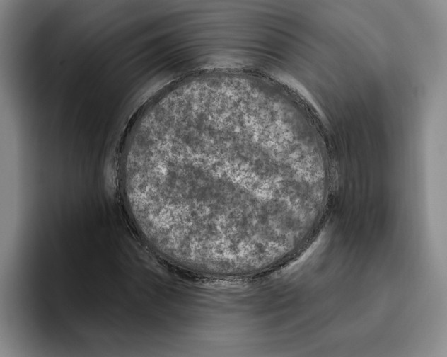 X0000096170874200802151433