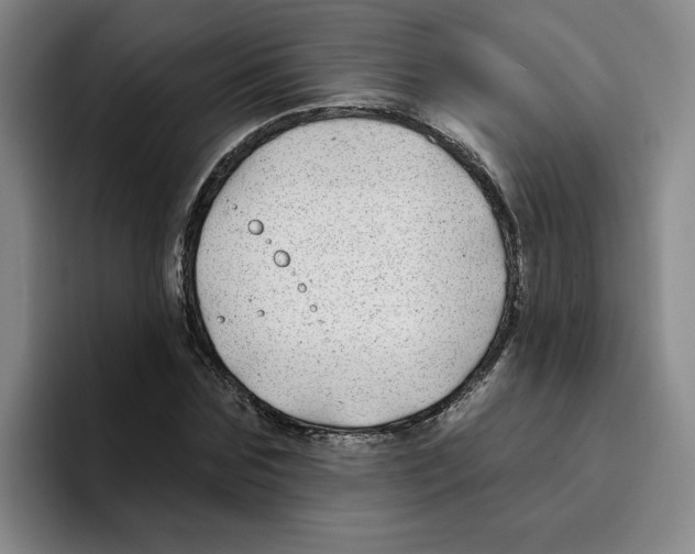 X0000096170875200802151433