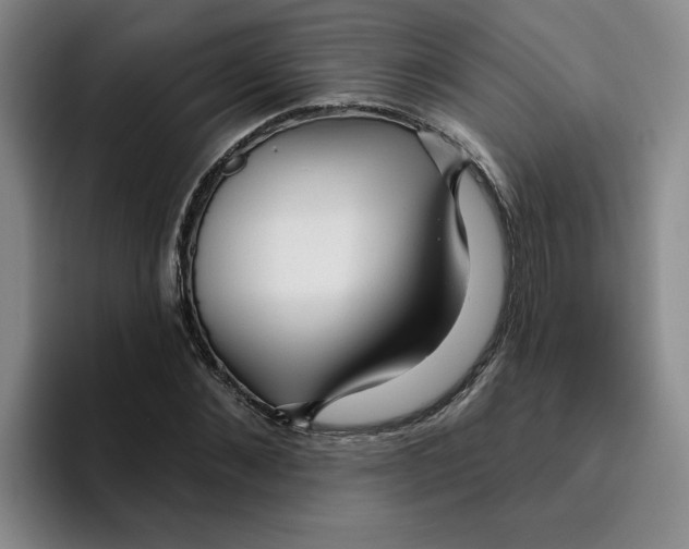 X0000096170876200802151433