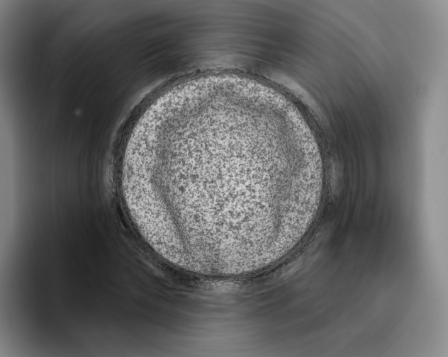 X0000096170878200802151433