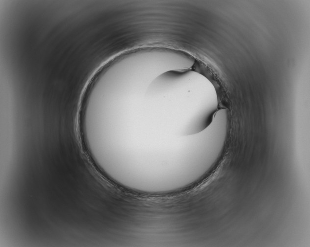 X0000096170880200802151432