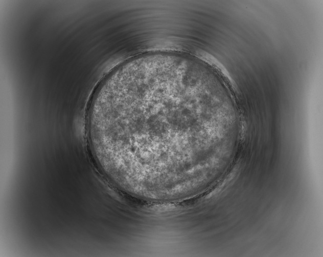 X0000096170882200802151432