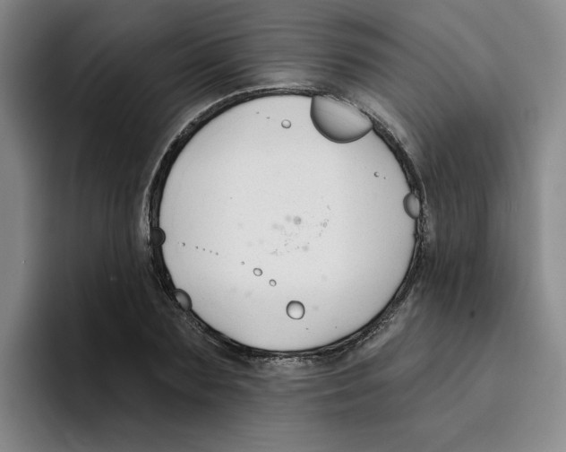 X0000096170883200802151432