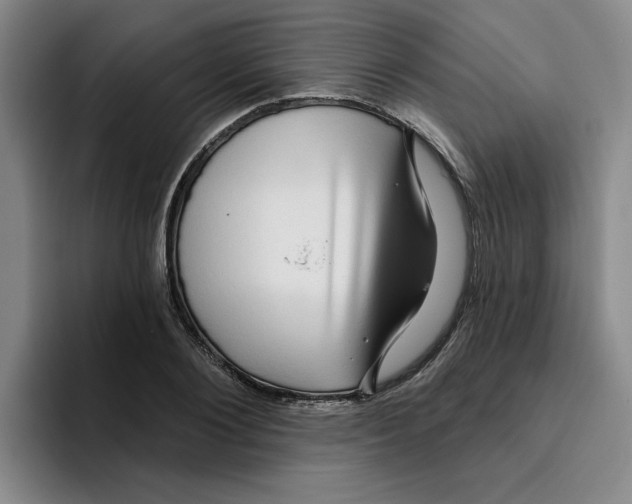 X0000096170884200802151432