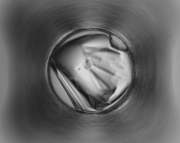 X0000096170885200802151432