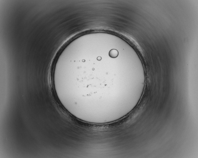 X0000096170887200802151432