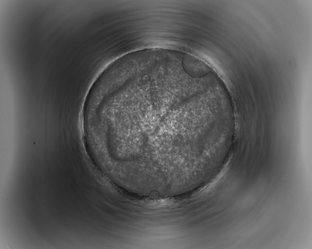 X0000096170891200802151432