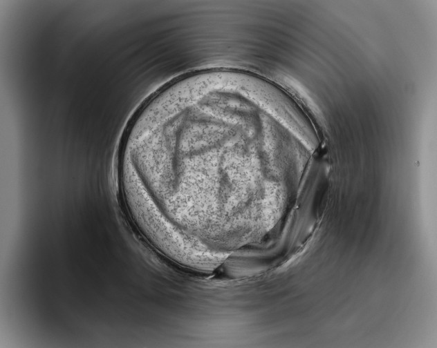 X0000096170892200802151432