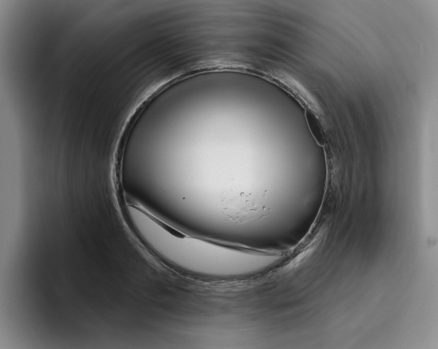 X0000096170893200802151432