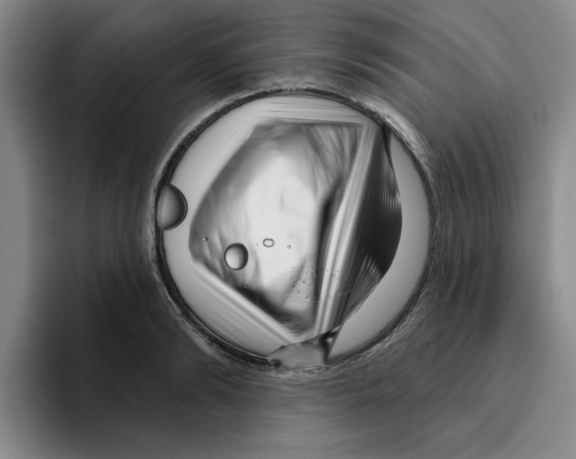 X0000096170894200802151432