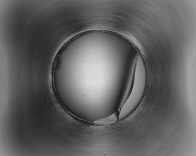 X0000096170896200802151432