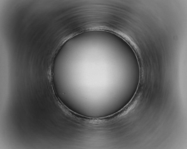 X0000096170897200802151432