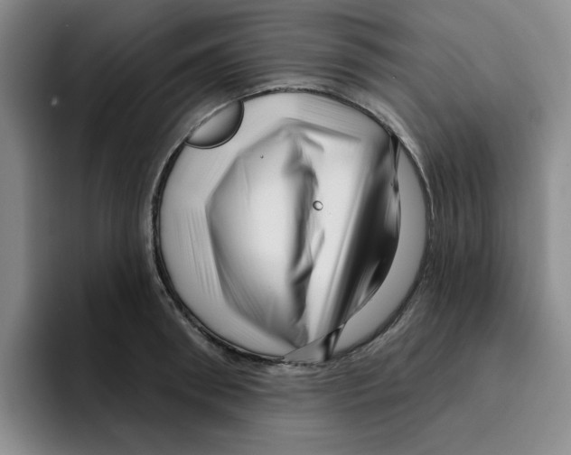 X0000096170898200802151432