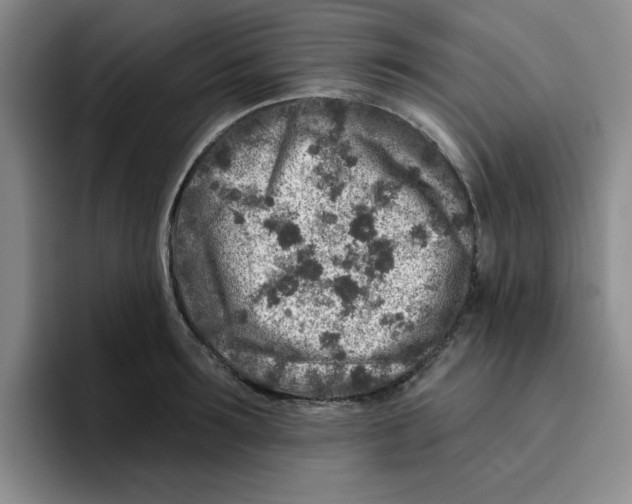X0000096170899200802151432