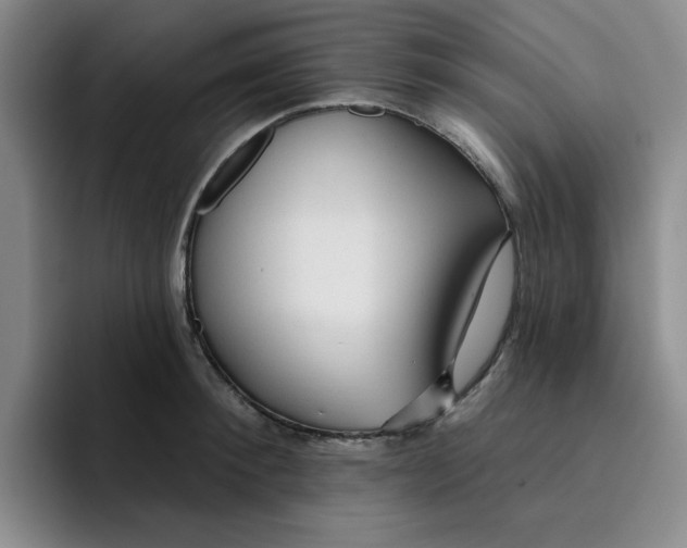 X0000096170900200802151432