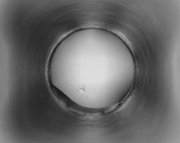 X0000096170901200802151432