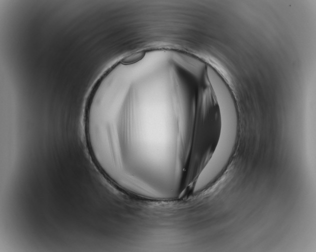 X0000096170902200802151432