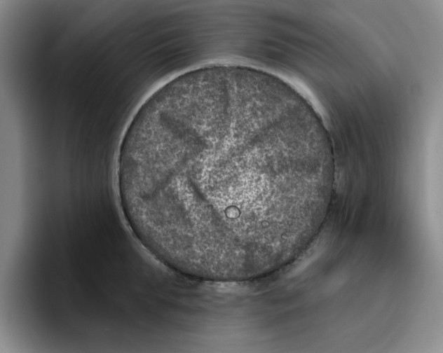 X0000096170903200802151432