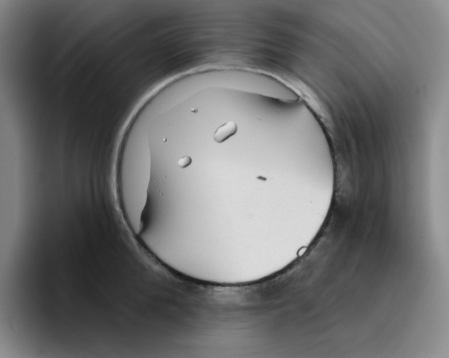 X0000096170904200802151432
