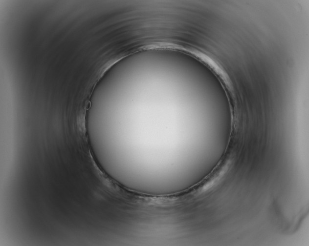 X0000096170905200802151432