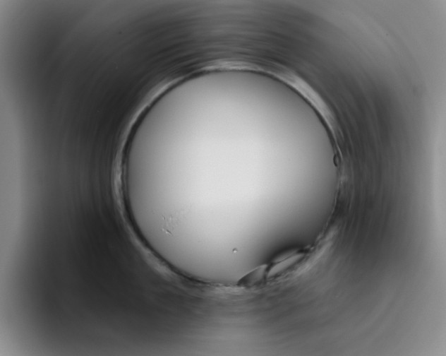 X0000096170909200802151432