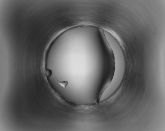 X0000096170910200802151432