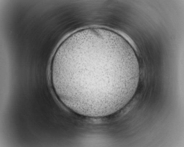 X0000096170911200802151432
